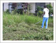 庭の手入れ・草刈り(2)